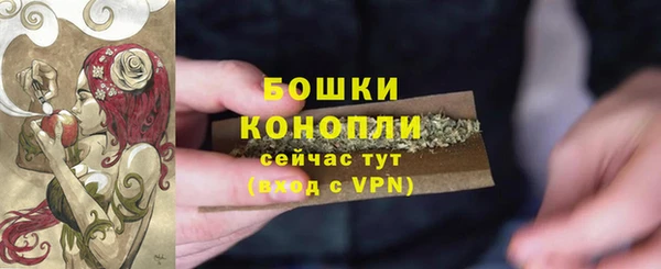 мдпв Киреевск