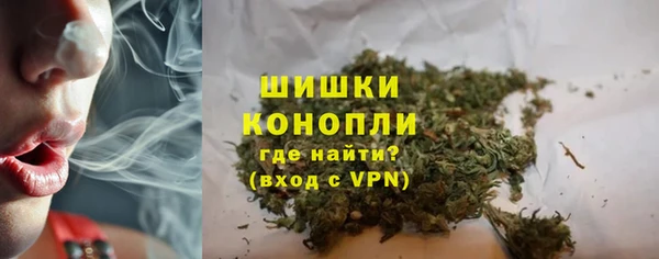 крисы Карпинск