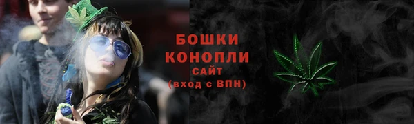 индика Янаул