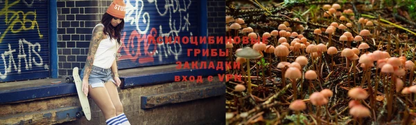 амф Касимов