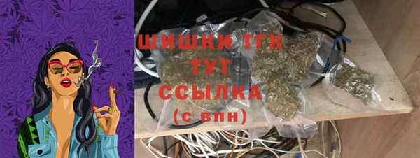 амф Касимов