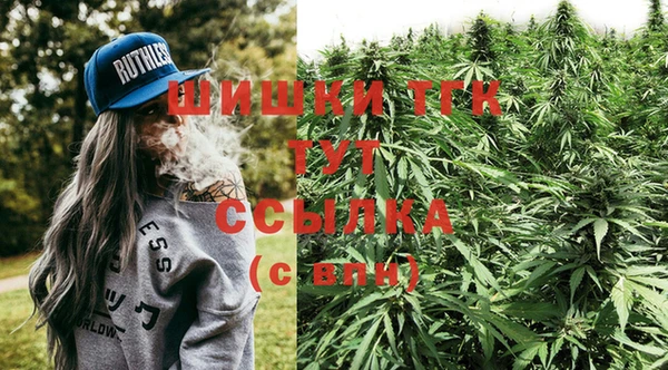 крисы Карпинск