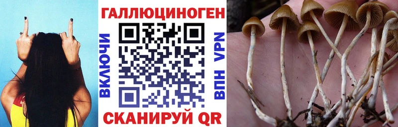 Псилоцибиновые грибы мухоморы  Ленинск 